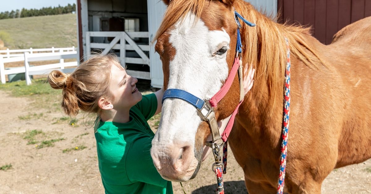 Jesus—the answer to everything