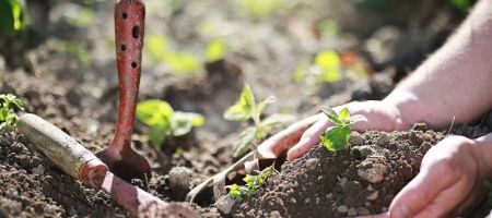 Bismarck Gardening Project Receives Support