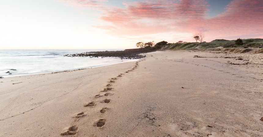 Small Steps that Make a Big Difference