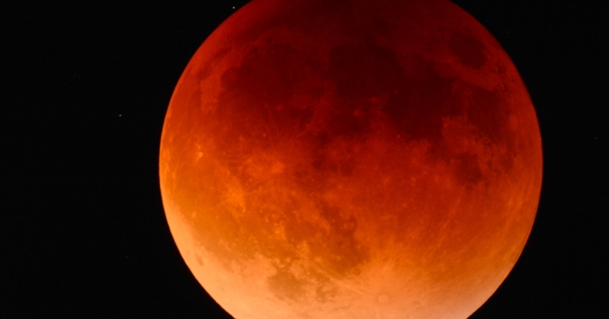 NASA Botanist on Mars