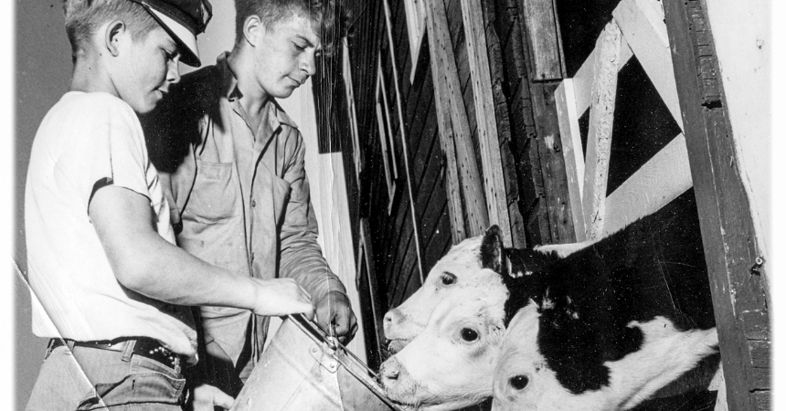 Vocational Education Through the Years