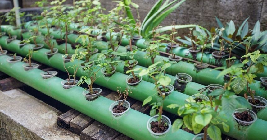 American Crystal Sugar Company Funds Purchase of STEM Equipment