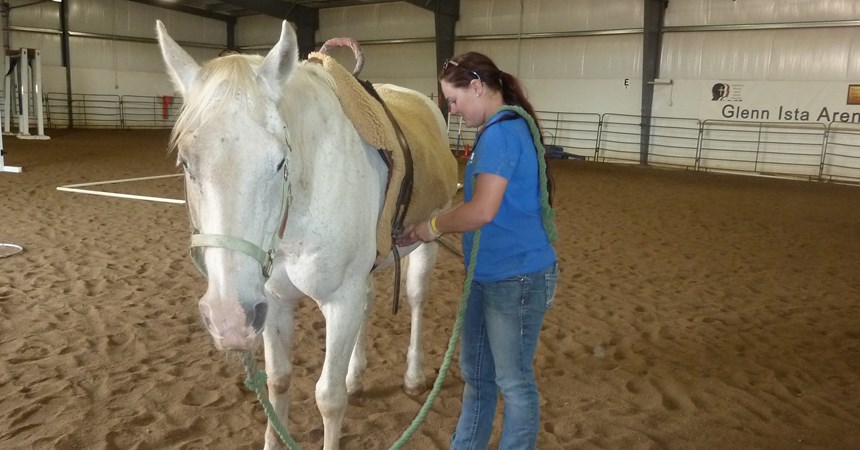 Finding common ground and healing through Ranch Horse Program