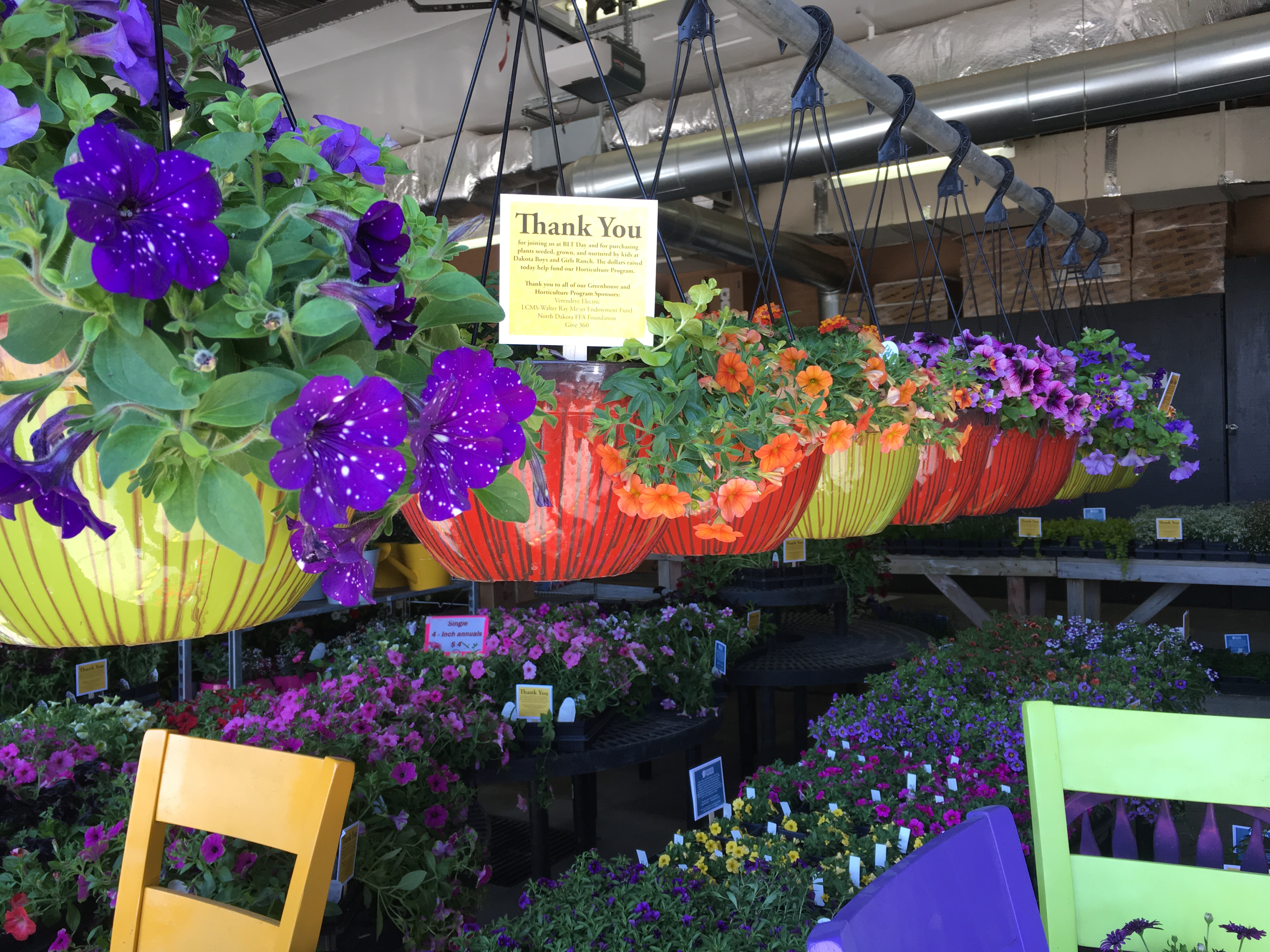 BLT Day at the Ranch