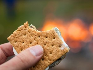 S'more Experiences