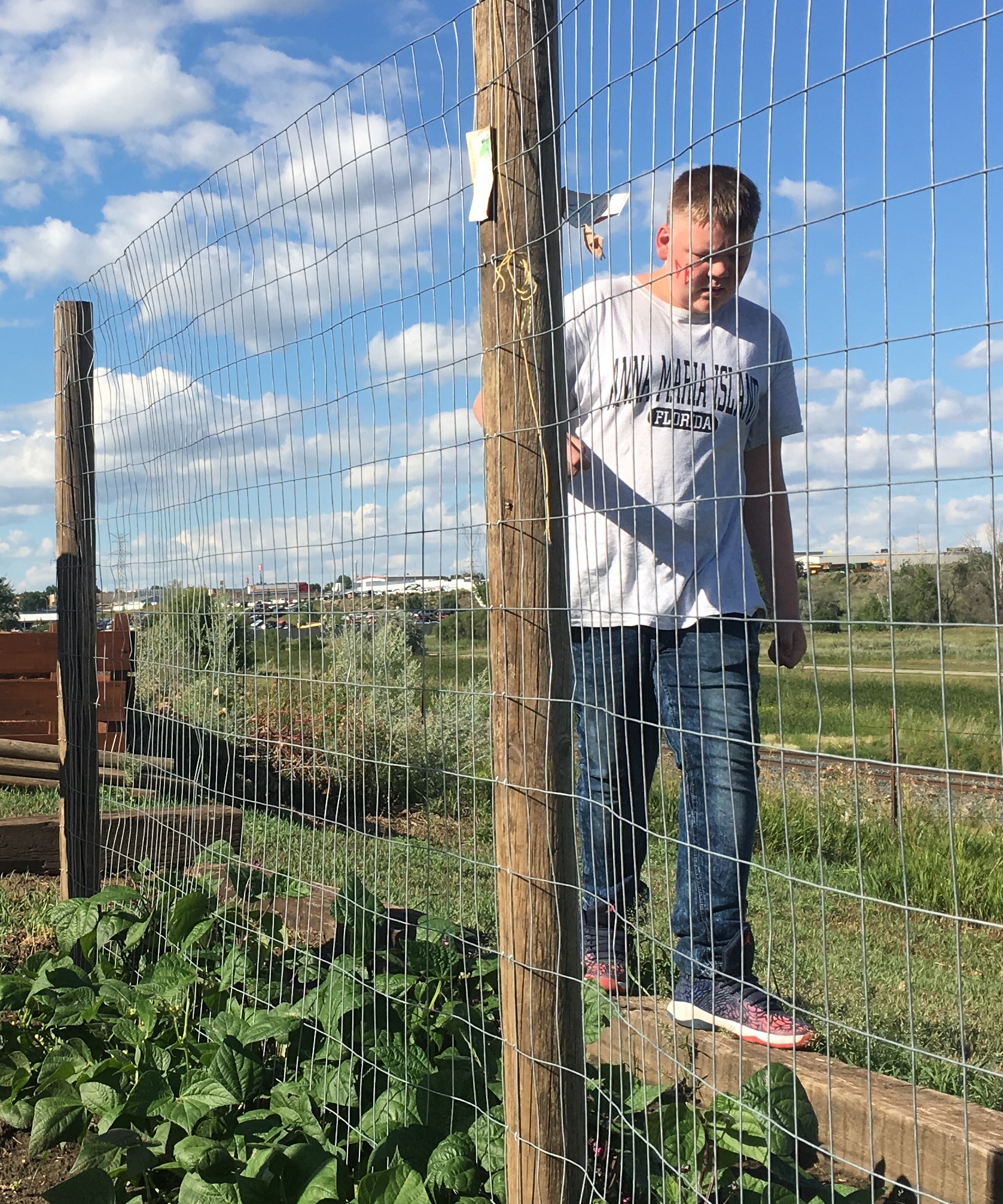 Capital Electric Supports Ranch Greenhouse