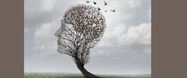 The Dynamics of Dementia