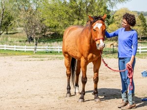 From Chaos to Calm: Horse Inspired Healing